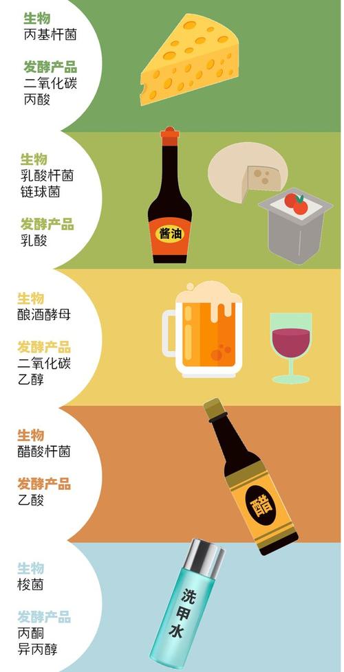 发酵的未来发展趋势 基因编辑技术助力发酵过程优化